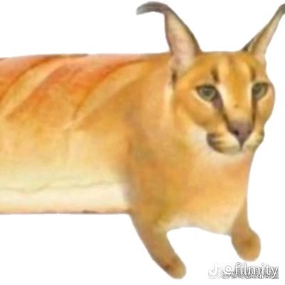 doo_________oob's profile picture. 28