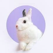bunnybunbunny08 Profile Picture