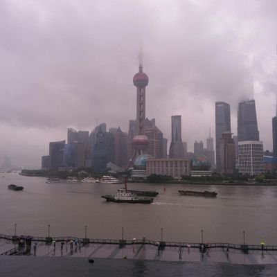 ybrsdcn's profile picture. 人间常态