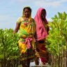 DistrictPgs's profile picture. We endevour to conserve & promote the indigenous culture of South 24 Parganas, disseminate State Government messages through all media in the interest of public