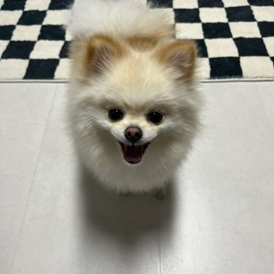 jason_lee__'s profile picture. Tech & Market Intelligence, Crypto, AI --