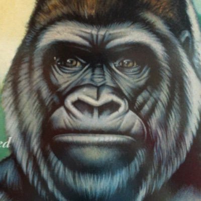 honora7o's profile picture. discordo