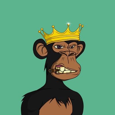 Mehrab696969's profile picture. follow for follow back 
#SHIB $SHIB