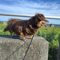 としくん (@htt2sngwh7uqemy) 's Twitter Profile Photo