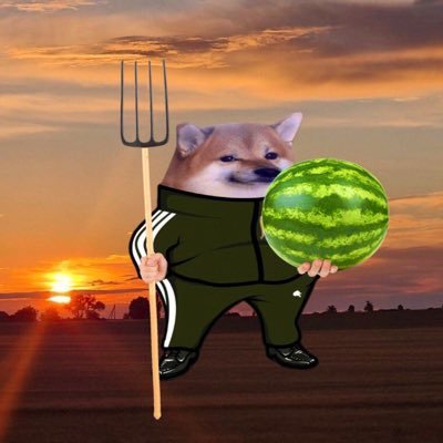 Tavrian_Farmer's profile picture. A family from the Kherson region,a farmer 👨‍🌾🚜🍉🌻#NAFOfellas The left bank of the Kherson region is Ukraine🇺🇦🇵🇱🇳🇴🇪🇺🇺🇸🅿️🅿️ farmer19111@gmail.com