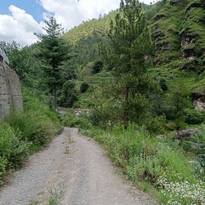 CRETIVCO's profile picture. 🌟 Spreading good vibes | Designing dreams | Beats and basslines |Views and Trades are personal🌟