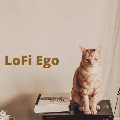 #Lofi Producer / Positive Energy / Animal Lover