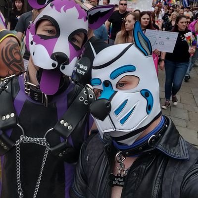 🦊NovaFox🦊 Profile