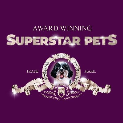 We Produce Unique Commercial Videos For Pet Businesses! We are the only ones in The WORLD who do what we do!   #petbusiness #pets
