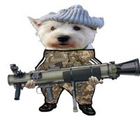 WarDoggo_backup(@deflepard260) 's Twitter Profile Photo