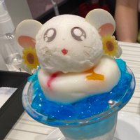 🐹 (@hamu_bright) 's Twitter Profile
