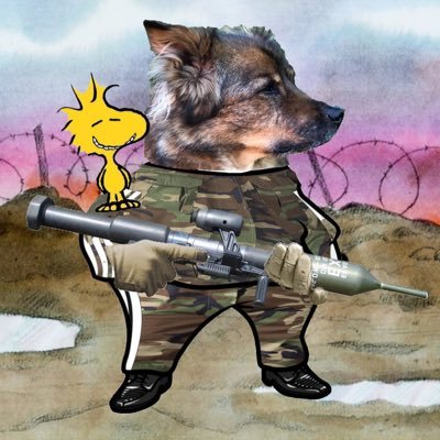 WarUnprovoked's profile picture. I move to Blue Sky: https://t.co/VTPzL8ehHW
Fellas NAFO MUGA SlavaUkraini! #RussiaIsAterroristState NO DMs!