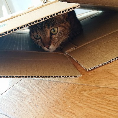 tWSMsDG4zsPYPCO's profile picture. できる限り裏垢で頼む会ったことある人なら多分通す愚痴するよ