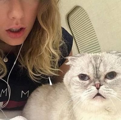 pmpkind's profile picture. ⓘ everybody doesn't care what ppl do, so i tweets as many as i want.