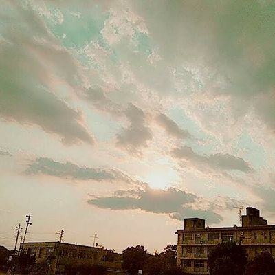 50代の下の子きょうだい児。♀+♀の2人姉妹。
3歳上の姉:療育手帳A /区分6/重度知的障害と自閉症/5年半前から施設(ロングSSで未だ入所待機中)
親の高齢化に伴い親なきあと問題に直面。両親とは絶縁しました。
介護福祉士+社会福祉士+介護支援専門員。高齢者施設(入所・通所)の介護職を通算28年。今は居宅ケアマネ。