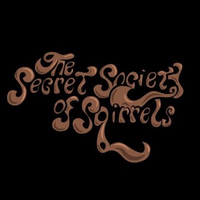 The Secret Society of Squirrelsさんのプロフィール画像