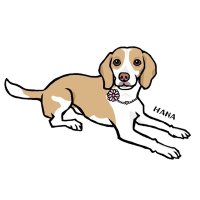 はな日記 (@hana_o_beagle) 's Twitter Profile Photo はな日記 (@hana_o_beagle) 's Twitter Profile Photo