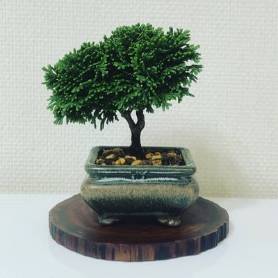 scotch_grain_'s profile picture. どんな小さな事でも、「幸せ」だと感じることの出来る人になりたい。2021.5独学で盆栽を始めた。最近はドリップコーヒーを飲みながら小説を読む時間が何よりも幸せ。いろいろあって読書で現実逃避している。図書館司書資格とりたい。※無言フォロー失礼致します。