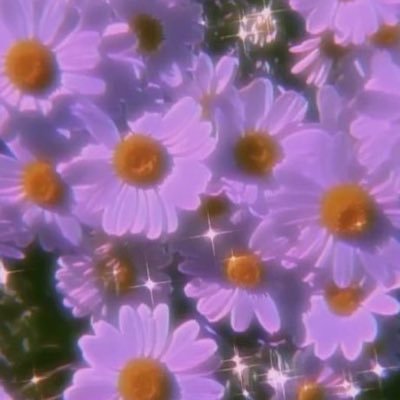 めめさんのプロフィール画像