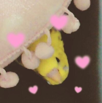 キリちゃん ボンバちゃんιονе♥
   心霊👻小鳥🐤ヨガ 筋トレ💪車💕映画 
ドラマ
※金爆推しの皆様無言フォロー歓迎します(♡∀♡〃)‼振りケツ⇒♡名古屋2days＆東京ファイナル♡ラジみた6/8 8/18
金生⇒名古屋2days 静岡 東京ファイナル♡2/27ﾄﾞﾌﾞﾂ3/5BomberE