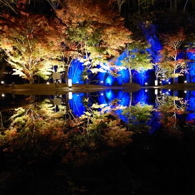 かいさんのプロフィール画像
