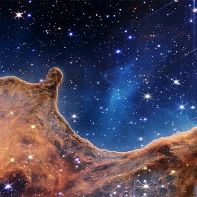 4DemocracyNow_'s profile picture. Voter | Activist  ☮️