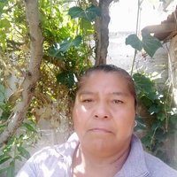Juanita Velazquez (@juanitamavt) 's Twitter Profile