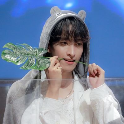 #도겸: (。•̀ᴗ-ღ) doahae || she/her || @pledis_17, my lifeline, let's keep running together. ♡