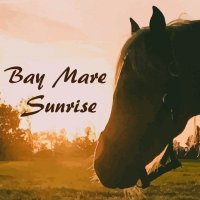 Bay Mare Sunrise(@BayMareSunrise) 's Twitter Profile Photo