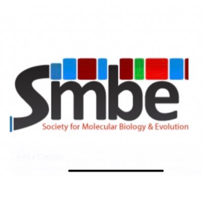 OfficialSMBE Profile Picture
