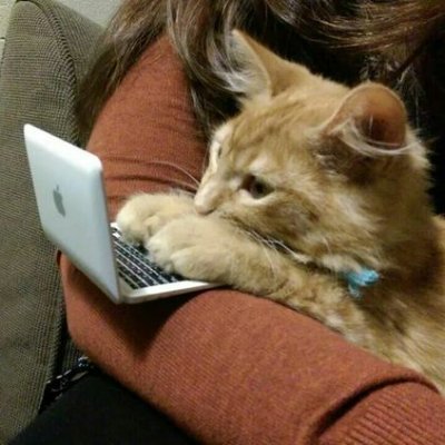 writinghumor's profile picture. Memes and laughs for writers about writing.