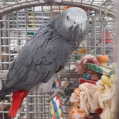 Magdale94261145's profile picture. 