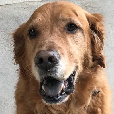 b55279100's profile picture. 3/7 MO, LAV, 7TH MEB Brigade Surgeon, 1 MEF, FMSS, 3D ANGLICO, Texas Natl Guard State Surgeon,1/23, 5/14, 4TH MED BN, USS RONALD REAGAN , CIVLANTFLT,Kyiv