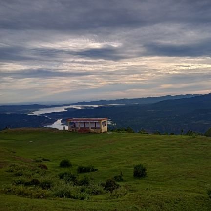 Aditi65198954's profile picture. 23 y/o, She/Her, currently in the process of decaying.