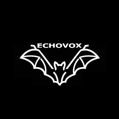 THE REASON WHY WE MADE ECHOVOX WAS, THAT WE SEARCHED LONGTERM THE EFFECTS OF SOUNDS ON OUR HEARING AND WE FOUND OUT THAT OUR BRAIN CAN PERCEIVE EVEN LOWER SOUND