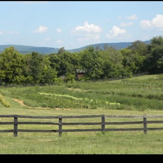 Chilly_Hollow's profile picture. We want to be your farmers! Chilly Hollow Farm is a 5 acre chemical free farm in Berryville, Va.