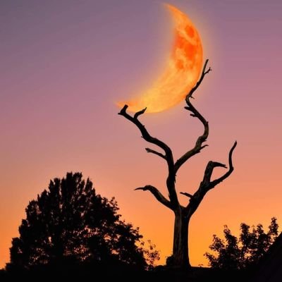 ChalkeJose's profile picture. I'm a funny guy from Mumbai!