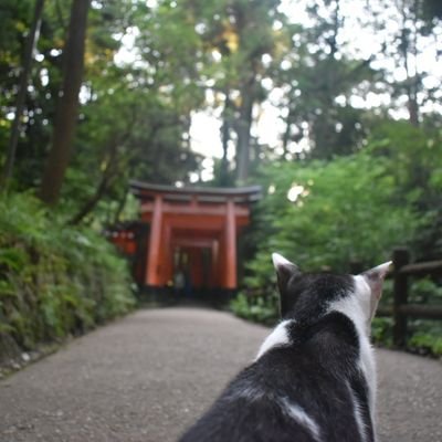 カメラと落書き垢です。 風景撮影が多いですがポトレ撮影もしてみたいと思いアカウントを作りました。 初心者ですが経験を重ねて素敵なのを創っていけるように頑張ります。あと落書きも載せるかもです。よろしくお願いします。