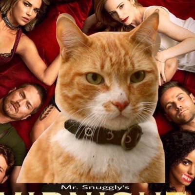 mrsnugglythecat's profile picture. Series finale of Midnight, Texas on NBC this friday Dec 28 @ 8/7c. Do. Not. Miss. ...Y'all.