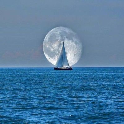 sandralyates's profile picture. 