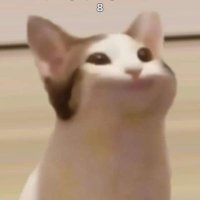 hjj (@siddidjdjdj) 's Twitter Profile