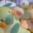 glgl_a8no's profile image