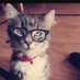 Máximo Maxwell (@turip_ip_ip_ip1) Twitter profile photo Máximo Maxwell (@turip_ip_ip_ip1) Twitter profile photo