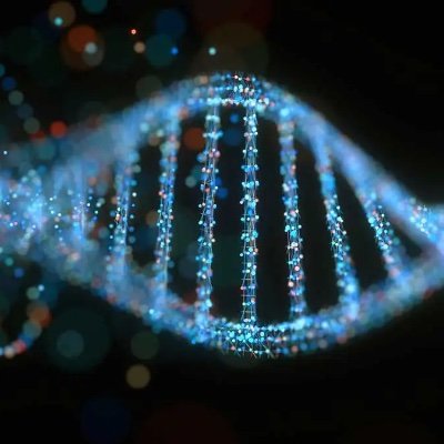 kineticfever1's profile picture. 組織工学と、データ分析をやっている者です。食と安全、民主主義、気候の未来を考えていきます。人の心は行動となって、未来に影響を与えます。素晴らしい未来を作っていきましょう！