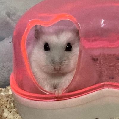 晴雲さんのプロフィール画像