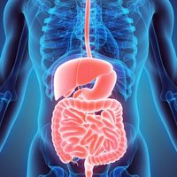 Journal of Gastrointestinal Cancer (@journalgicancer) 's Twitter Profile