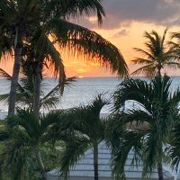 Julia Dimmitt (@cajunjbd) 's Twitter Profile