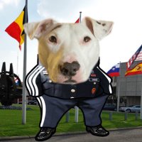 Dane (@kapuforu) 's Twitter Profile