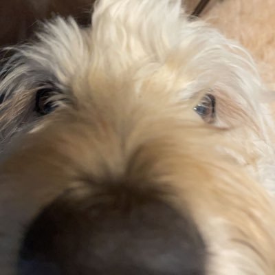 moneysignsanji's profile picture. YURR