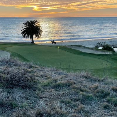 SJVFAT's profile picture. 